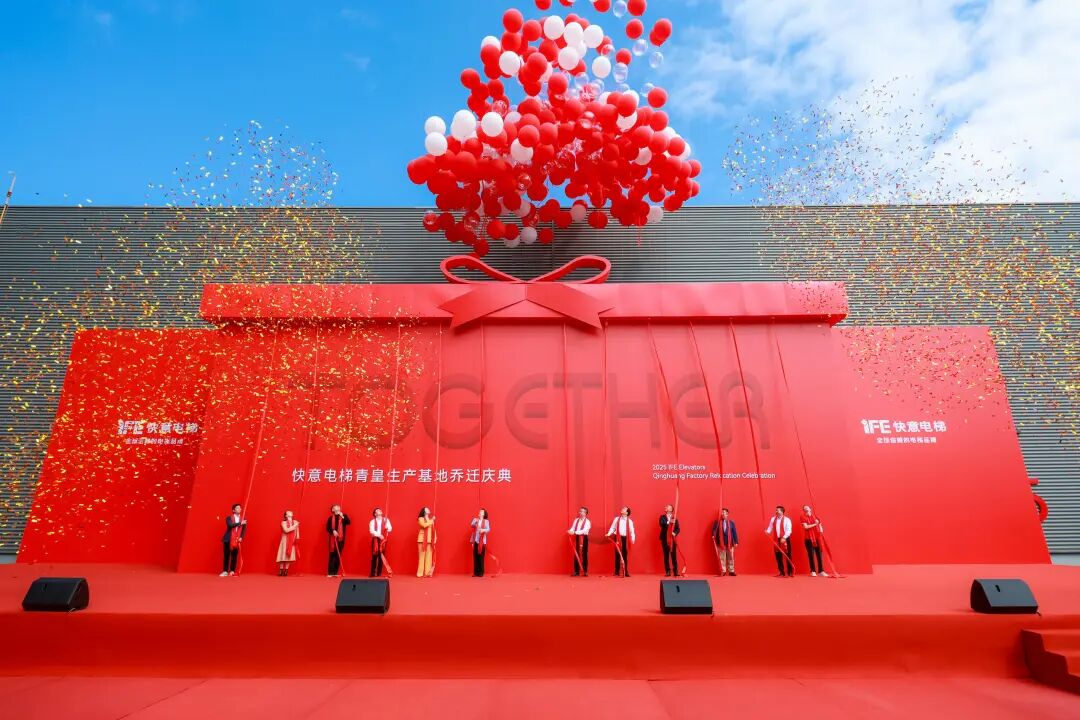 1766199916356003.jpg 8.jpg